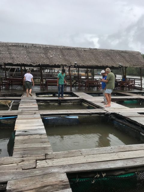 Krabi: Half Day Tour Mangrove Tour Kayaking Tour With Lunch - Reservation Options