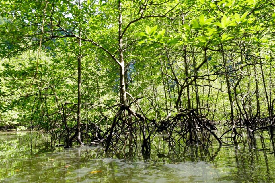 Krabi: Kayaking Tour to Ao Thueak Lagoon With Lunch - Nature Walk in Tha Pom Klong Song Nam