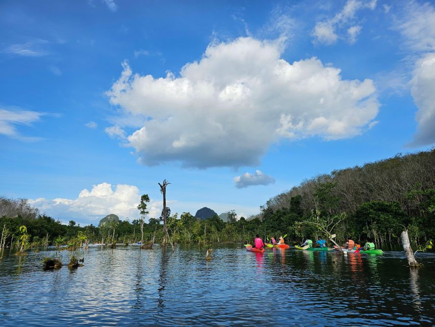 Krabi: South Kayak Klong Root Kayaking Tour - Common questions