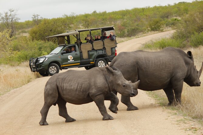 Kruger National Park Sunrise Morning Private Safari - Weather Considerations