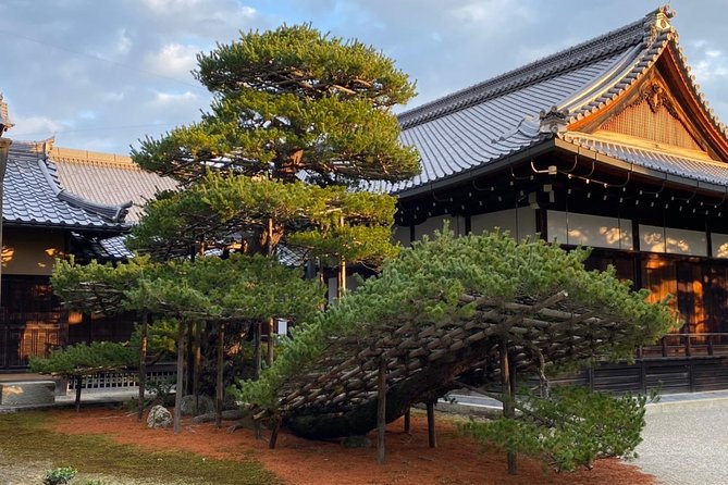 KYOTO, OSAKA, NARA or KOBE With Private Car & Driver [Max 9 Pax] - Pricing and Terms & Conditions