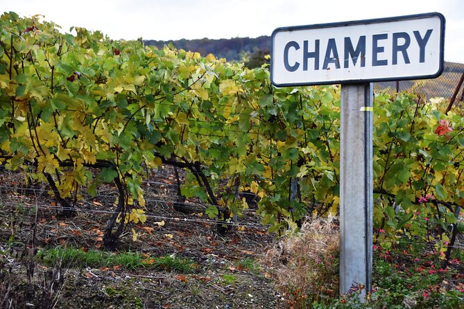 La Champenoise: Champagne House Visit and Tasting Tour - Contact and Support