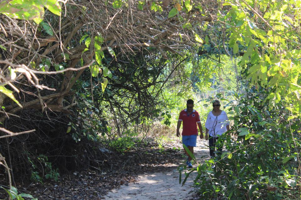 La Crucecita: Hiking and Snorkeling/ Drinks and Fruits - Tour Highlights