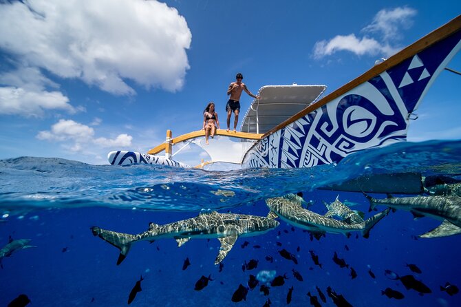 Lagoon Snorkeling Tour With Tahitian Oven Lunch in Bora Bora - Pricing and Booking Information