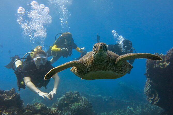 Lahaina Small-group Scuba Review Dive  - Maui - Dive Safety Guidelines