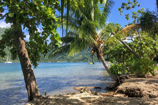 Land and Sea Cultural Tour to Discover Traditions, Heritage and the Lagoon - Common questions