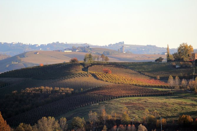 Langhe (Piedmont): Wine Tasting Experience - Last Words