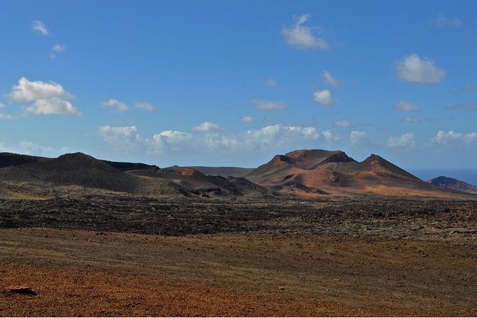 Lanzarote Bus Tour With Camel Ride and Wine Tasting - Common questions