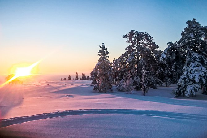 Lapland Snowmobiling Small-Group Experience  - Rovaniemi - Common questions