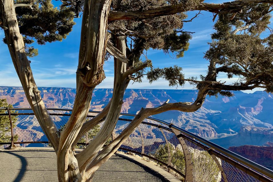 Las Vegas: Grand Canyon National Park Day Tour With Lunch - Guest Experience: Booking and Safety