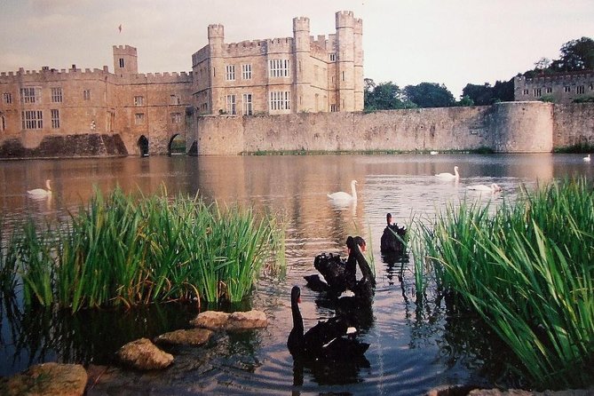 Leeds Castle, Canterbury and White Cliffs of Dover Private Car Tour - Last Words