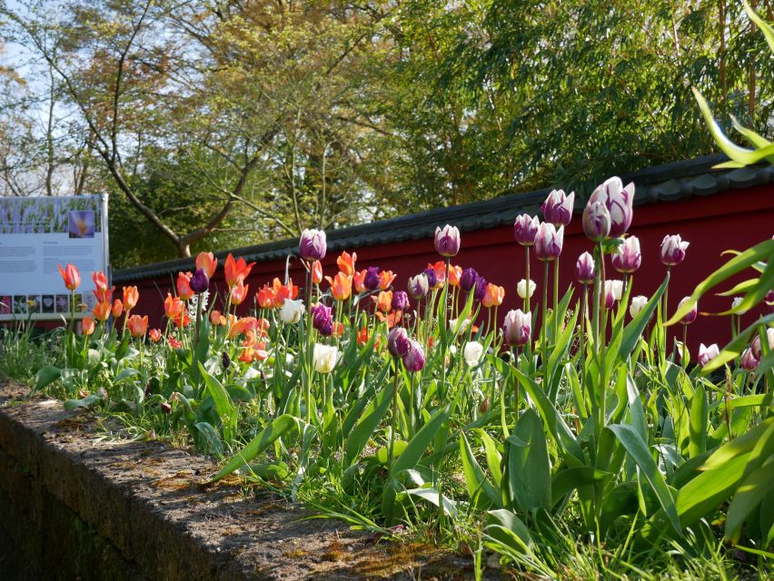 Leiden: Hortus Botanicus Entry Ticket - Common questions