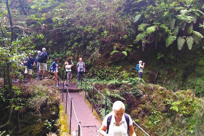 Levada Do Caldeirão Verde Levada Walk From Funchal - Copyright and Pricing