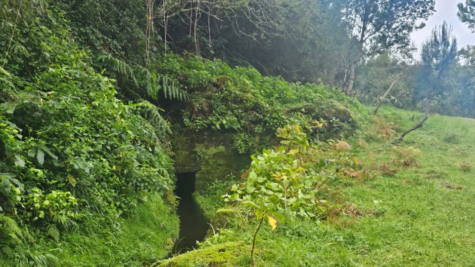 Levada Dos Tornos-Boaventura by Overland Madeira - Common questions