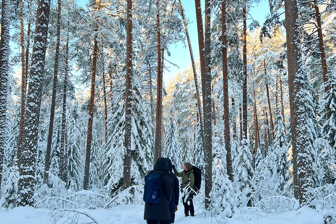 Liesjarvi National Park Hiking Trip From Helsinki (Mar ) - Last Words