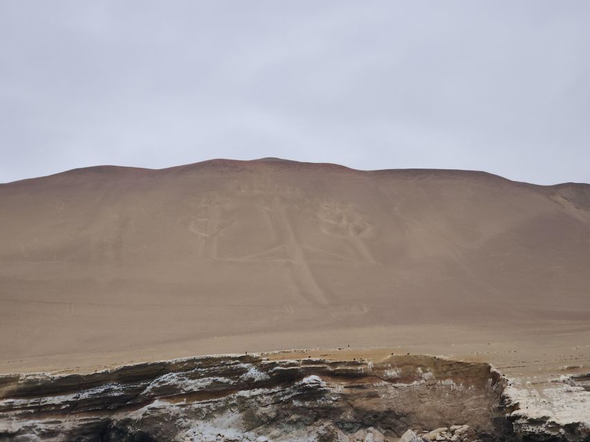 Lima: Full Day Tour to Paracas, Vineyards and Huacachina - Itinerary Overview