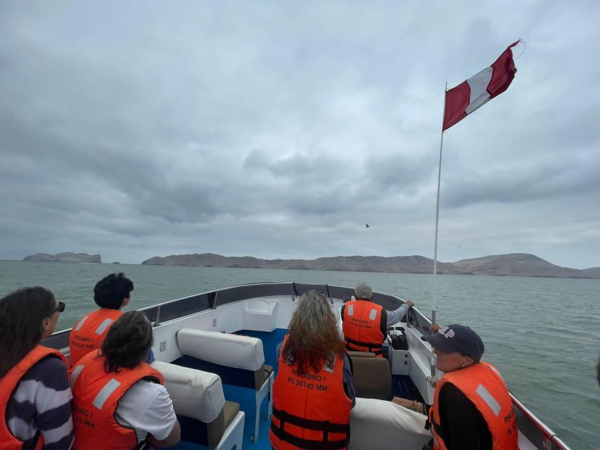 Lima: Palomino Islands Speedboat Tour & Swim With Sea Lions - Additional Information