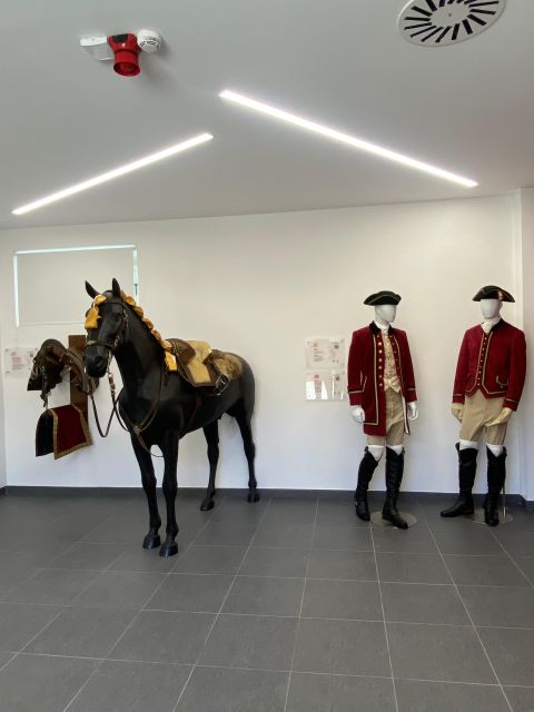 Lisbon: Morning of Equestrian Art With Lusitano Horses - Common questions
