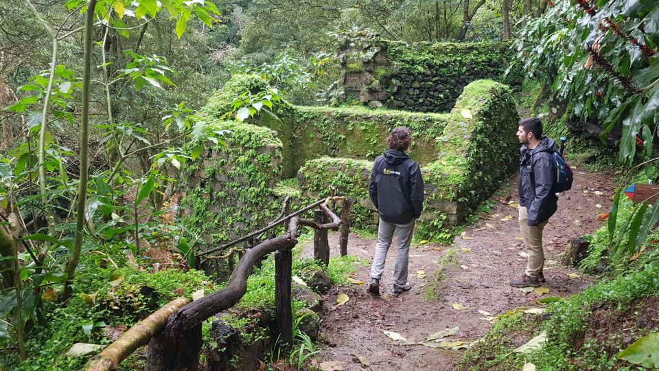 Lomba De São Pedro: Waterfall Hiking Tour With Tea Tasting - Last Words