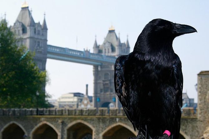 London Private Walking Tour: The Tower of London and Tower Bridge - Common questions