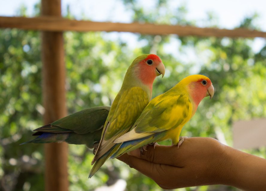 Los Cabos: Animal Sanctuary Tour - Sanctuary Facilities