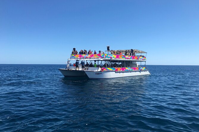 Los Cabos Whale Watching Cruise Including Breakfast - Last Words