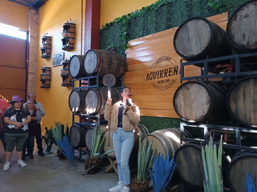 Lots of Party: Have Fun at "La Aguirreña" Factory - Agave Fields Tour