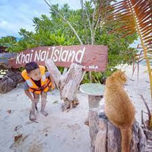 Luxury Lipe Cave Khai Island Long Tail Boat Half-Day - Important Reminders