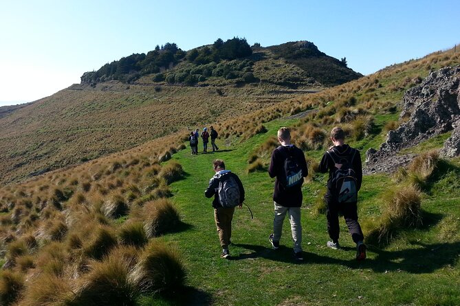 Lyttelton Shore Excursion -Guided Hiking Tour Packhorse Hut - Booking and Assistance Options