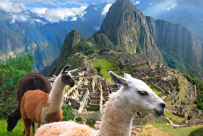 Machu Picchu Small-Group Day Tour From Cusco With Admission - Common questions