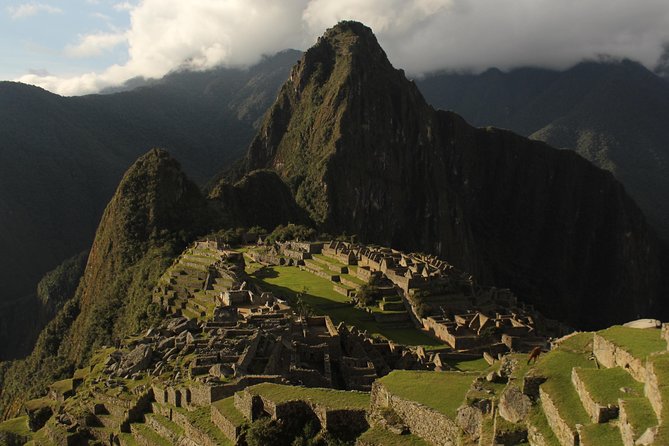 Machu Picchu Tour From Cusco Full Day - Traveler Assistance