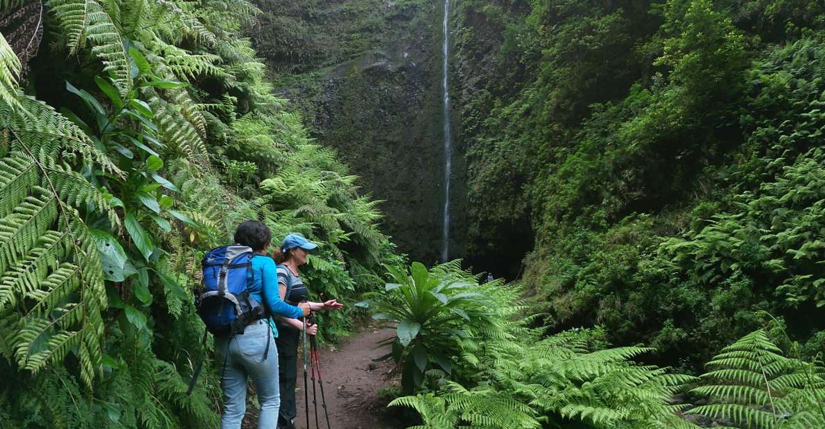 Madeira Island: Caldeirão Verde Levada Walk - Common questions