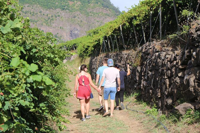 Madeira Island Private Wine Full-Day Tour in All Terrain Vehicle - Common questions