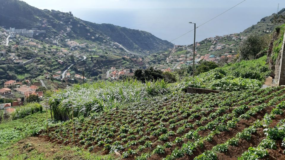 Madeira: Private Guided Levada Do Norte Walk - Common questions