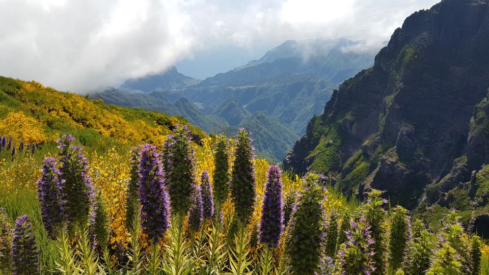 Madeira: Private Guided Pico Areeiro to Pico Ruivo Hike PR1 - Average Rating