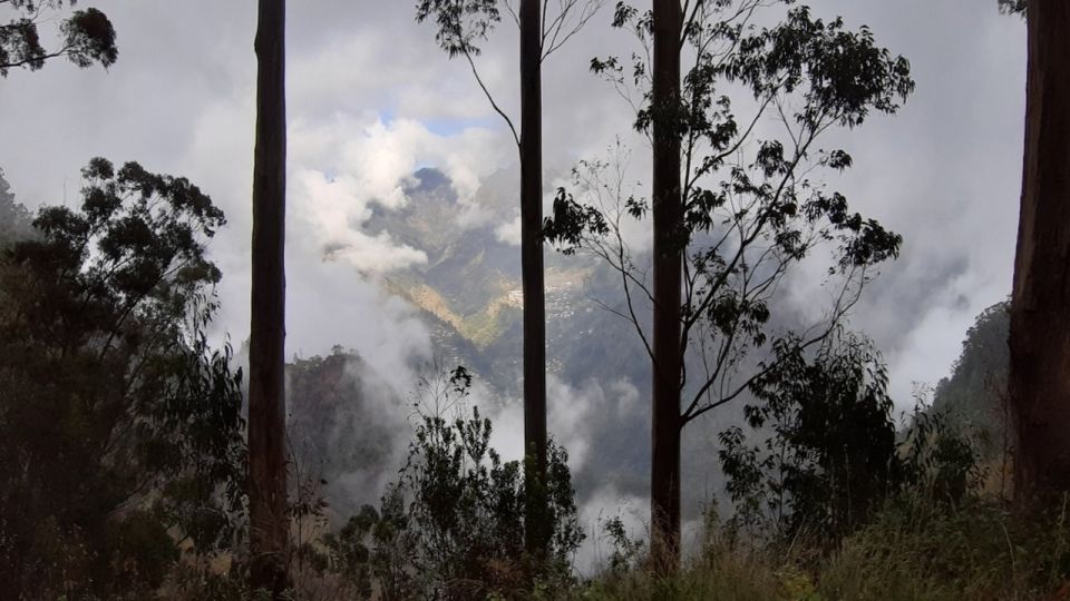 Madeira: Private Half-Day Jardim Da Serra Tour - Common questions