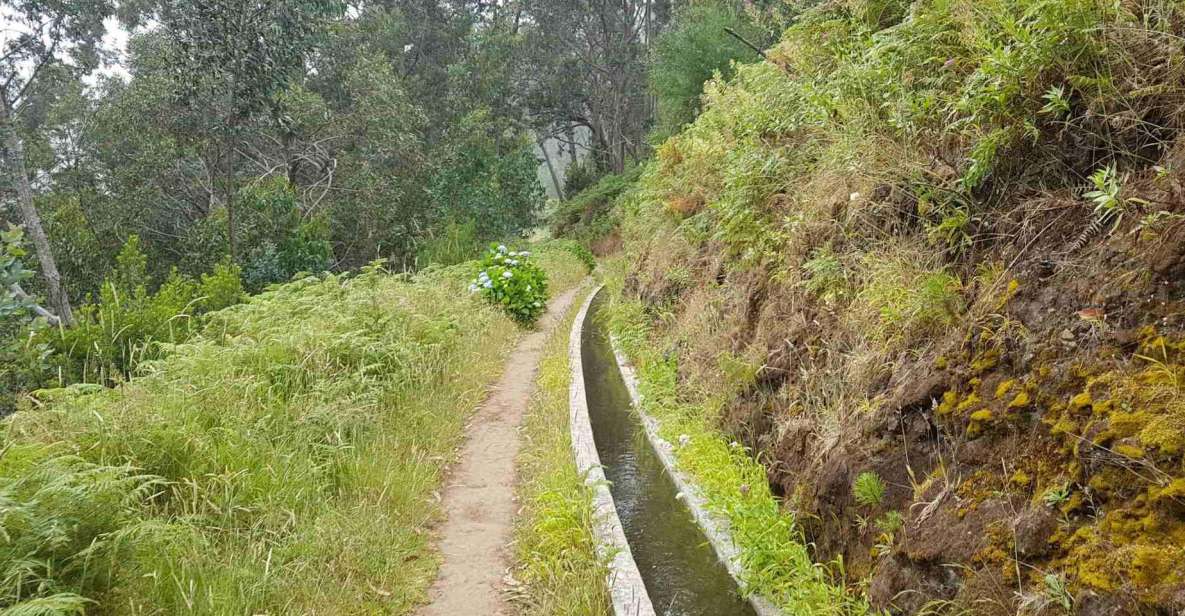 Madeira: Private Levada Ponta Do Pargo Walk - Live Tour Guide Details