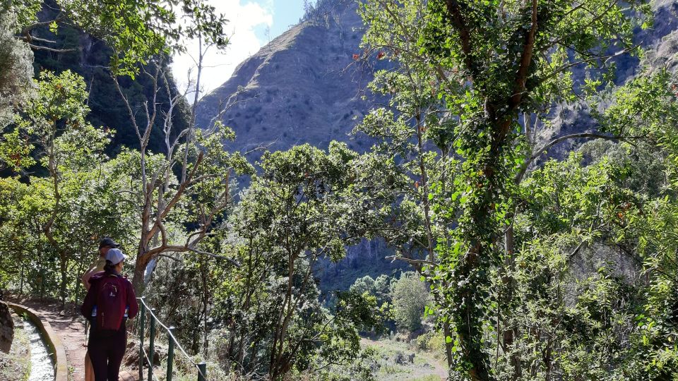 Madeira: Private Moinhos Levada Nova Walk Ponta Do Sol - Last Words