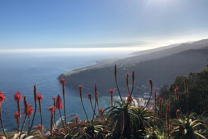 Madeira Safari - East of the Island - Transparent Pricing Details