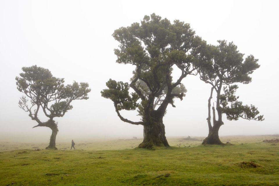 Madeira: Westside Achadas Cruz, Moniz, Seixal and Fanal - Common questions