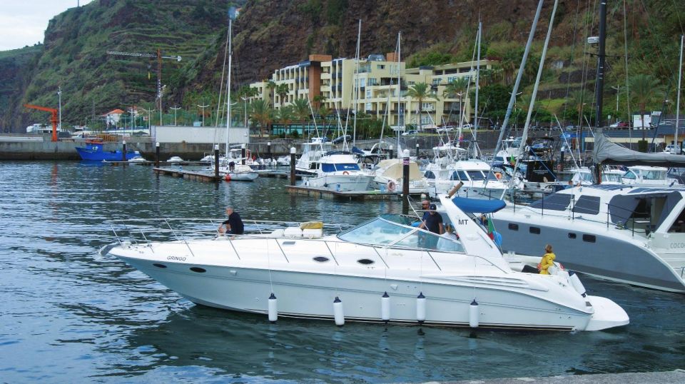 Madeira: Yacht Tours - Wildlife & Bays, Sunset, Desert Isles - Last Words