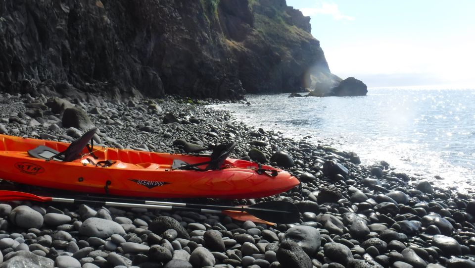 Madeiras Marine Reserve: Kayak & Snorkelling Trip - Customer Testimonials