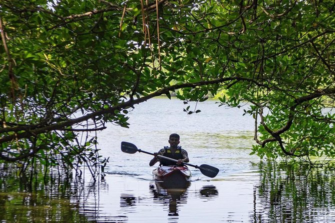 Madu River Sunrise Mangrove Kayaking From Bentota - Last Words