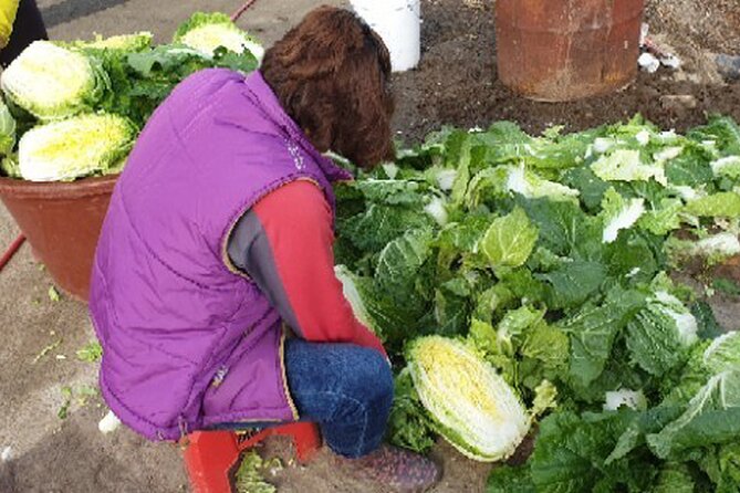 Making Kimchi at a Country Farm Near Busan for the Month of November - Last Words