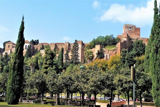 Malaga City: Private Walking Tour by Tours in Malaga - Last Words