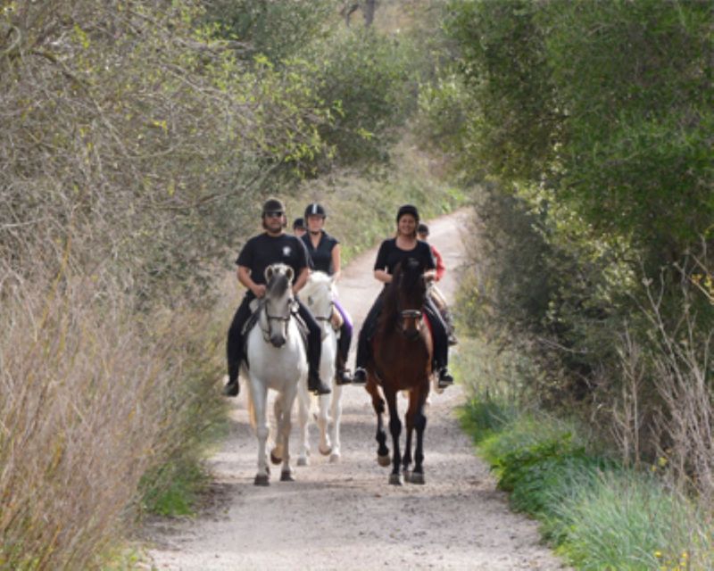 Mallorca: Guided Horseriding Tour of Randa Valley - Last Words