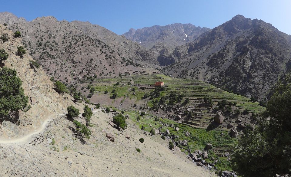 Marrakech: 2-Day Atlas Mountains Trek With Village Stay - Customer Testimonials