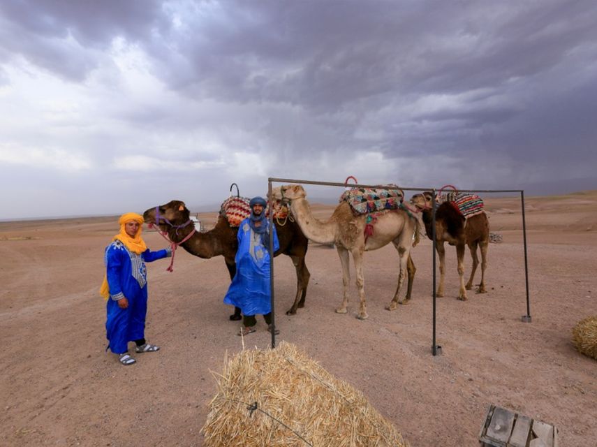 Marrakech: Agafay Quad & Sunset Camel Tour With Dinner Show - Last Words