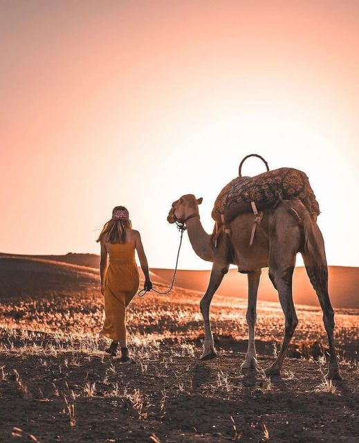Marrakech: Atlas Mountains & Agafay Desert With Camel Ride - Last Words