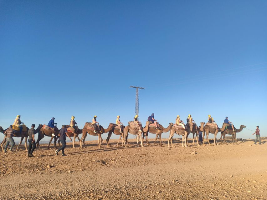 Marrakech: Camel Safari at Agafay Desert With Lunch - Last Words